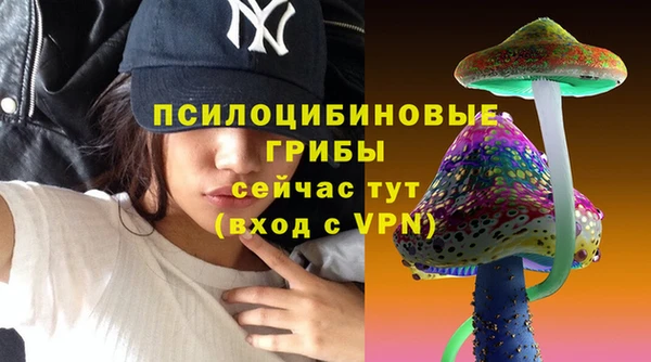 первитин Алексин
