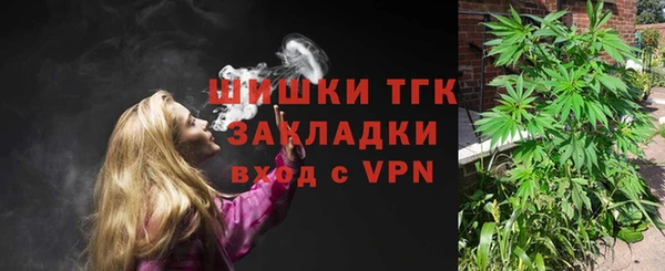 сатива Алексеевка