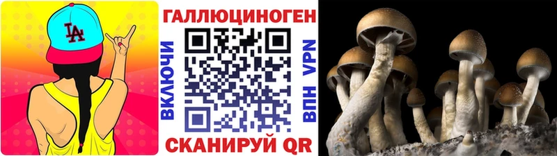 Галлюциногенные грибы MAGIC MUSHROOMS Солигалич